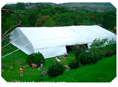 RENTA DE CARPAS GIGANTES SEGURAS